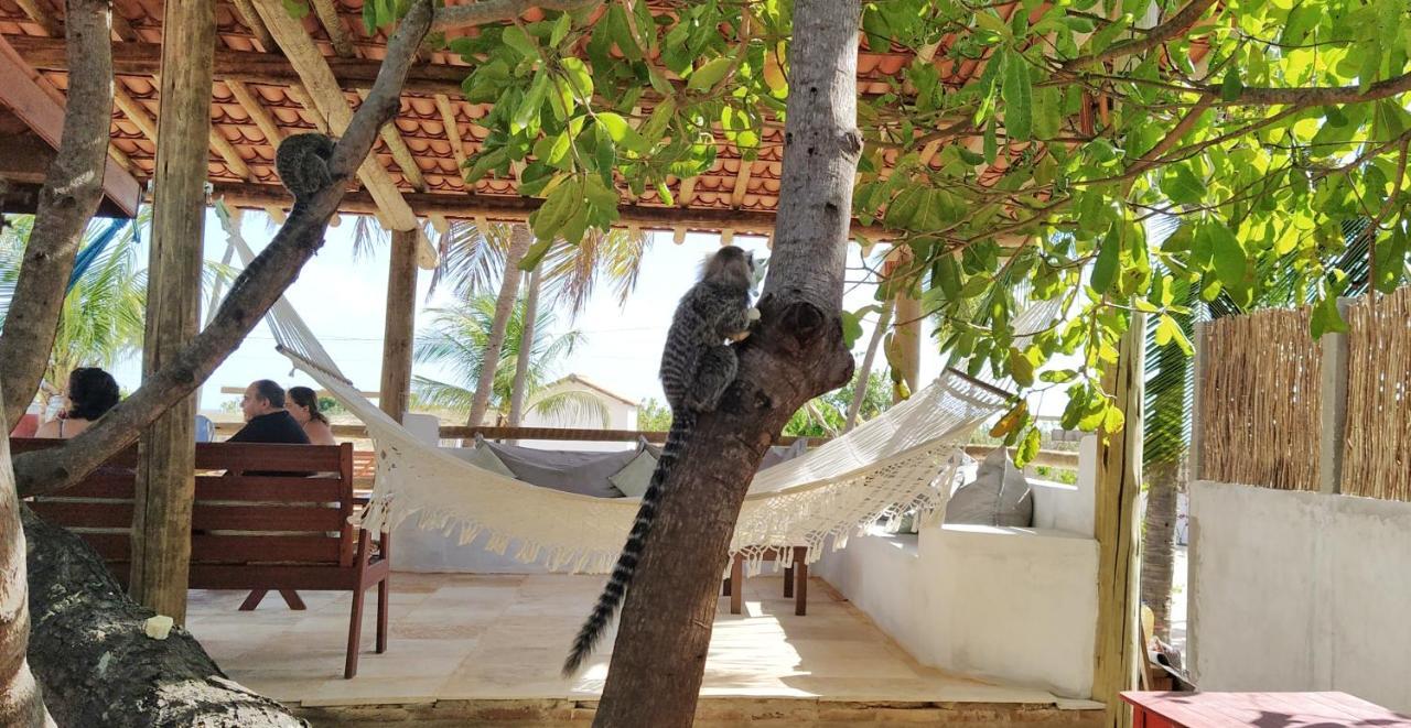 Villa Pitaya Icaraí Eksteriør billede